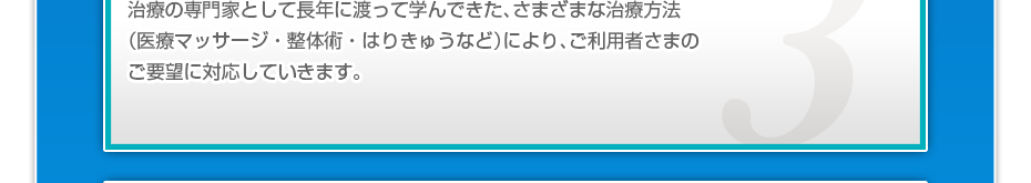 治療の専門家として長年に渡って学んできた、さまざまな治療方法（医療マッサージ・整体術・はりきゅうなど）により、ご利用者さまのご要望に対応していきます。
